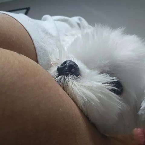 권승현