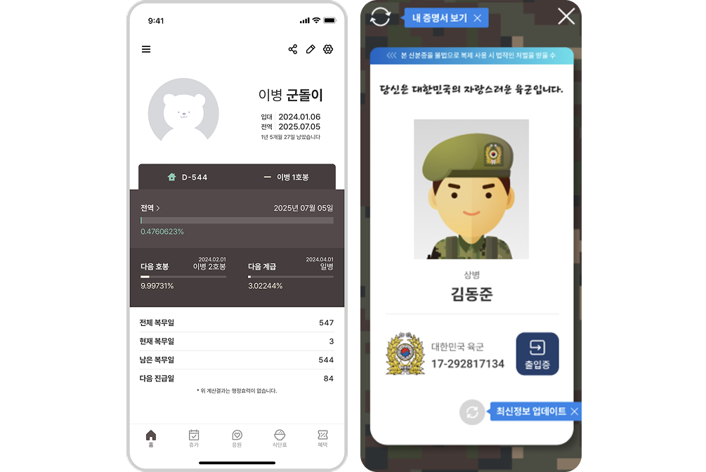 Military verification example